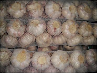 Braid garlic