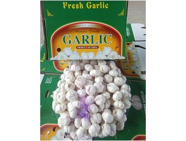 Pue white garlic